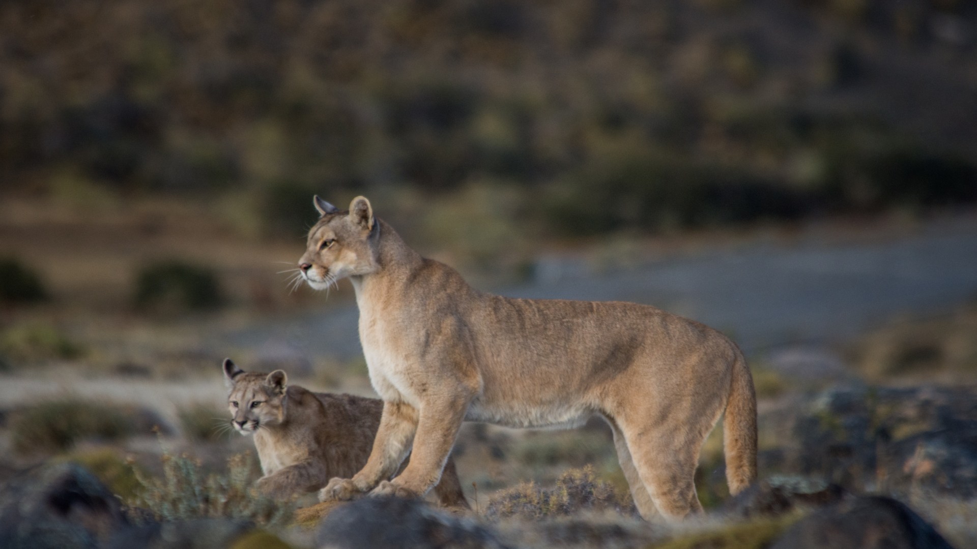 Trekkingabenteuer im Land der Extreme